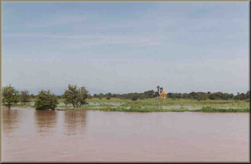 Pagode perdue dans la mangrove ?