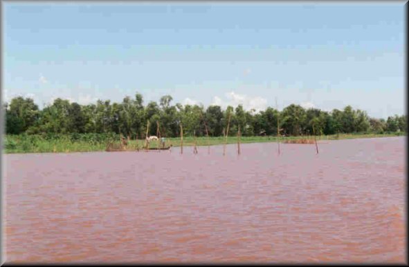 Filets de pêche tendus sur des piquets