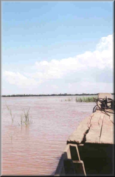 L' eau du Mekong à perte de vue
